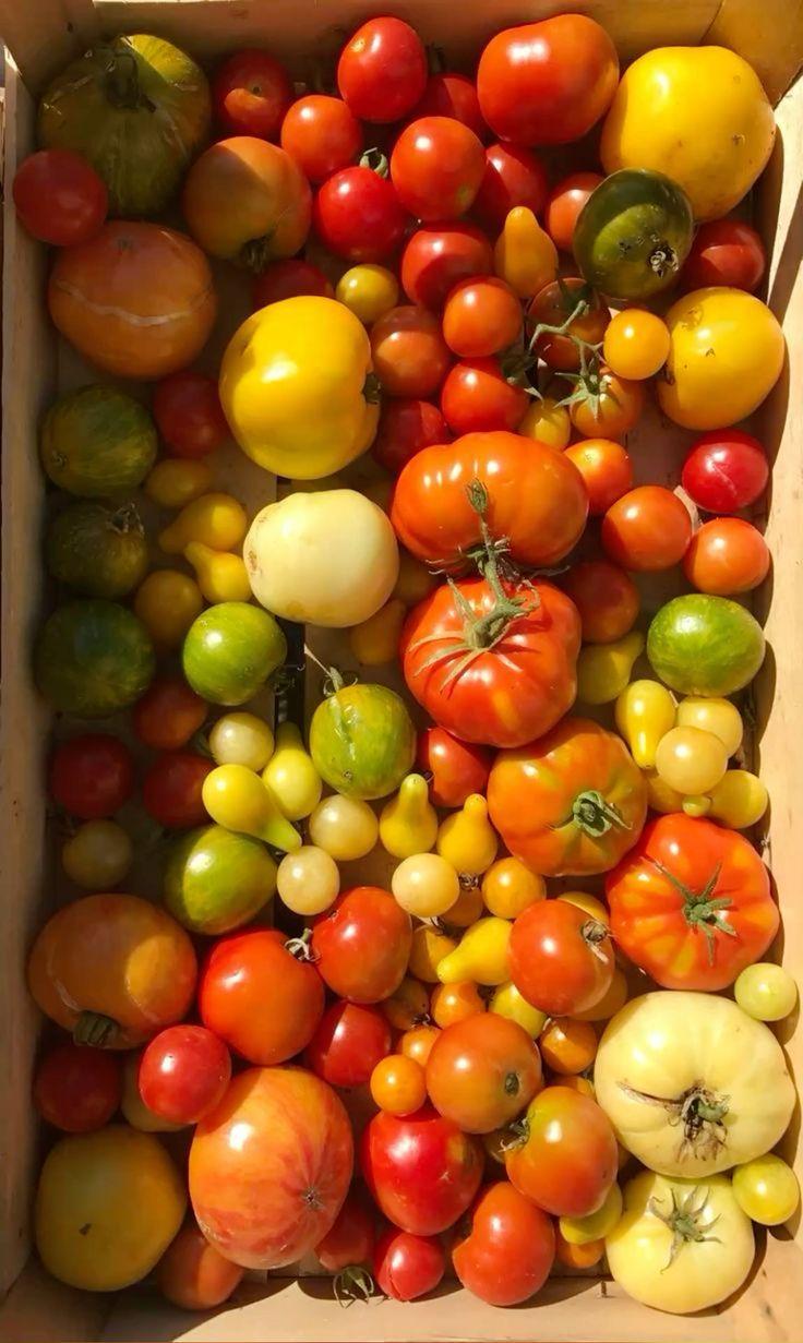 Sunrise Sampler: Morning-Picked Fresh Fruit Ensemble